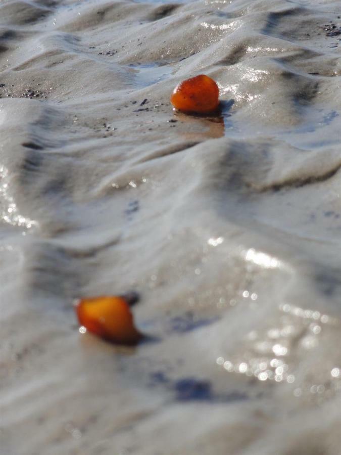 Dietrichs Wentzelhof Sankt Peter-Ording Ngoại thất bức ảnh